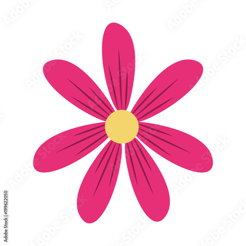 Beautiful flower cartoon vector illustration graphic design
