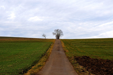 Landstraße zwischen Feldern