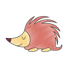 Cute porcupine cartoon vector illustration graphic design