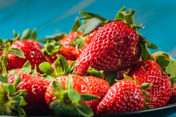 Ripe organic strawberries on blue wooden background.