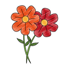 Beautiful flowers cartoon vector illustration graphic design