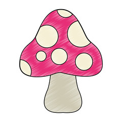 Isolated fungus cartoon vector illustration graphic design