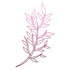 Bouquet of leaves cartoon on purple lines vector illustration