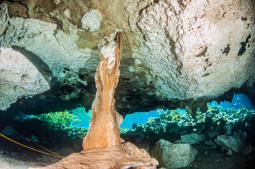 Diving in the Cenote Nicte Ha in Yucatan, Mexico