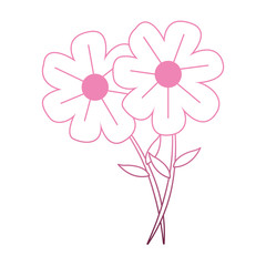 Beautiful flowers cartoon on purple lines vector illustration