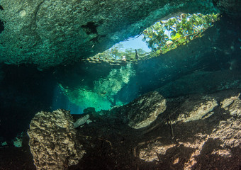 Naklejka na ściany i meble Diving in the Cenote Nicte Ha in Yucatan, Mexico