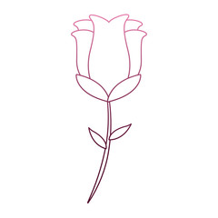 Beautiful flower cartoon on purple lines vector illustration