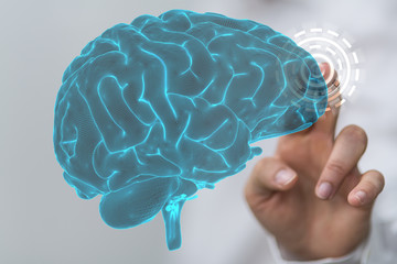brain