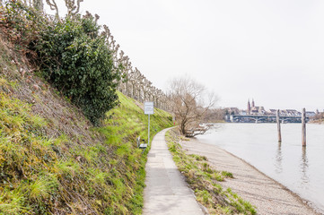 Basel, Stadt, Basel-Stadt, Grossbasel, Rhein, Rheinufer, Uferweg, Wettsteinbrücke, Münster, Kirche, Altstadt, Altstadthäuser, Frühling, Schweiz