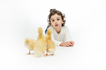 Little girl posing with ducklings