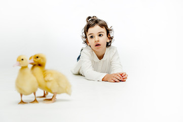 Little girl posing with ducklings