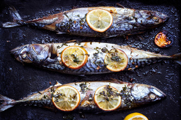 Baked fresh mackerel fish, with lemon and seasoning,  on baking tray
