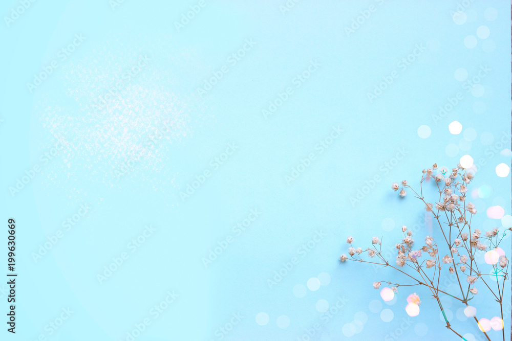 Wall mural baby blue background with small white flowers and bokeh, with copy space - Wall murals