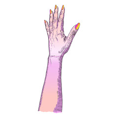 Girl hand gesture on white background . Vector.