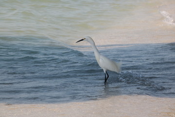 mer plage sable