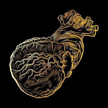 Gold anatomical human heart poster concept, place card design, hand drawn flesh tattoo idea. For greeting cards, t-shirts, fashion. Vector