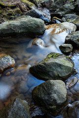 Fototapeta na wymiar Small stream and rocks at spring forest