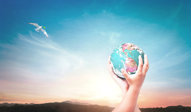 Earth day concept: Two human hands holding earth globe with bird flying on mountain sunset background. Elements of this image furnished by NASA