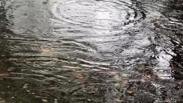 4K HD Video of Rain drops falling into shallow water. Much needed rain in California.