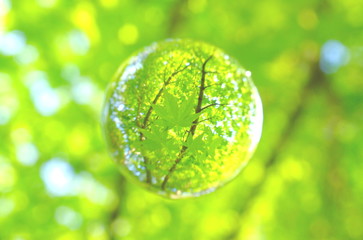 新緑　初夏～夏イメージ