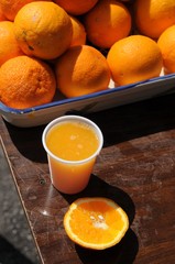 南イタリアの新鮮な食材と料理