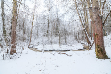 Small stream in snowy winter forest nature
