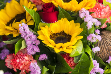 Fresh colorful flowers