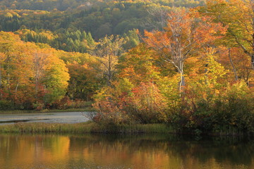 Fototapeta premium 秋の地蔵池 Jizoike in autumn / Nishikawamachi, Yamagata, Japan 