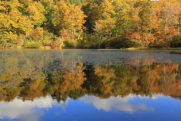 秋の地蔵池　Jizoike in autumn / Nishikawamachi, Yamagata, Japan	