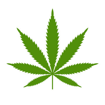 Marijuana or cannabis leaf Icon Vector Logo Template. Isolated illustration on white background.