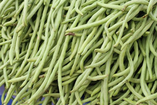 Long beans at market
