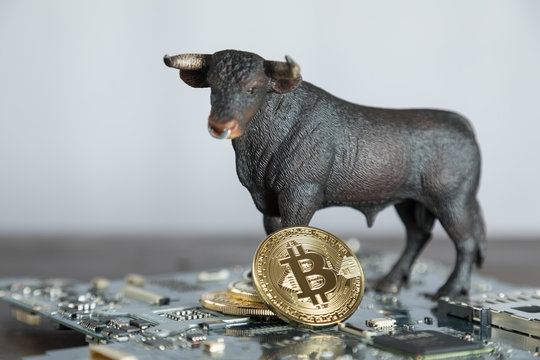 Bull With Bitcoin Cryptocurrency On Computer Motherboard. Bull Market Wall Street Financial Concept With Copy Space.