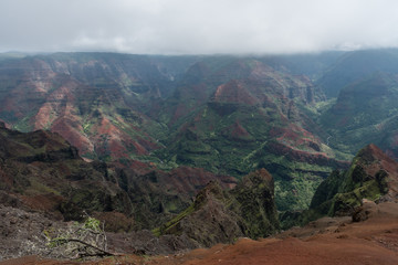 Fototapeta premium Waimea Canyon on Kauai, Hawaii, in winter after a major rainstorm