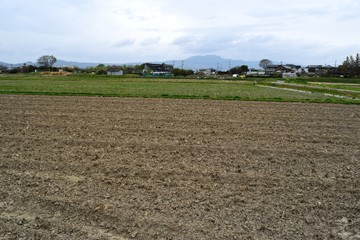 田園地帯