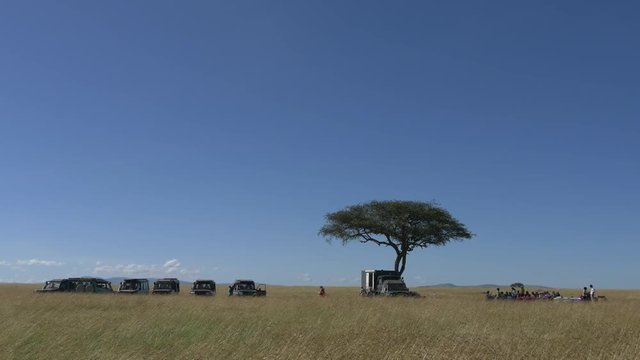 People sitting at a table near safari cars