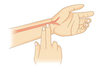 Checking Your Heart Rate Manually with place two fingers at wrist. Illustration about health diagnose.