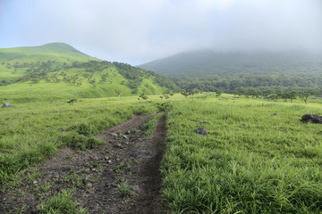 Fototapeta premium 由布岳の登山口