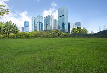 The grass and the city in Shenzhen, China.