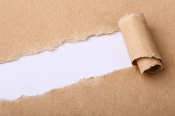 Paper Tear Background