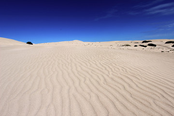 Sand Dune 