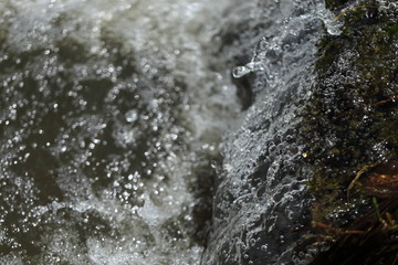 leaves floating over smooth river rocks