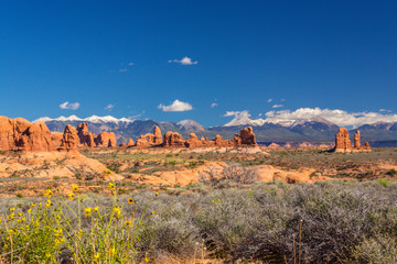 Fototapeta na wymiar Summer scenery in Arches National Park, Utah, with red rock formations and clear blue sky