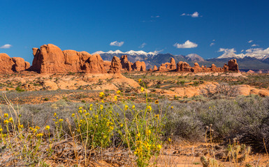 Summer scenery in Arches National Park, Utah, with red rock formations and clear blue sky