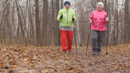 Elderly woman in autumn park doing warm up before nordic walking among yellow leaves