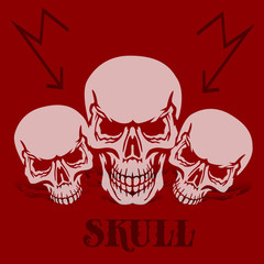 Banner on a red background.Three gray skulls, silhouette with shadow,