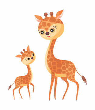 Cute giraffe with cub. Vector illustration in cartoon style isolated on a white background.