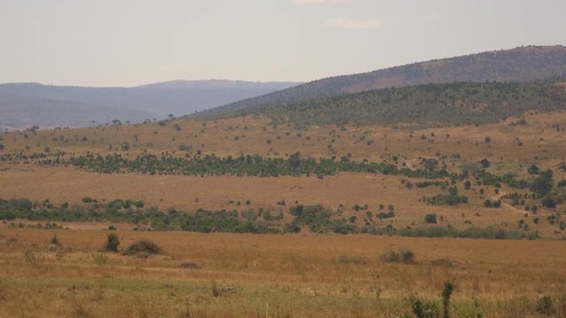 Hills in Maasai Mara National Reserve