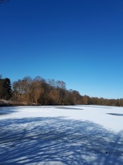 Zugefrorener See in einem Wald