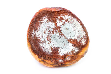 Moldy nectarine