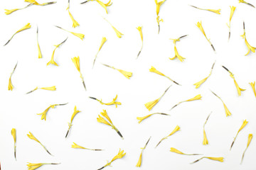 Fresh marigold on a white background